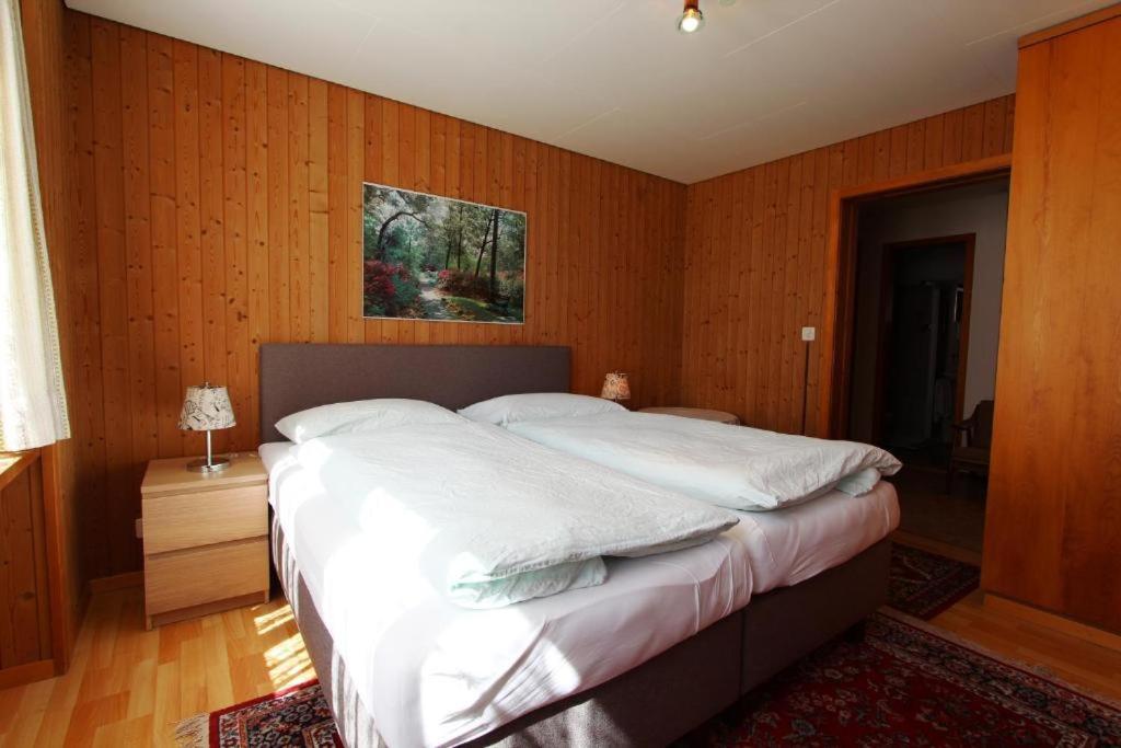Hotel-restaurant Alpina Inn 2*