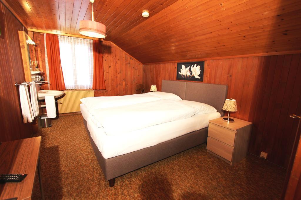 Hotel-restaurant Alpina Herberg 2*